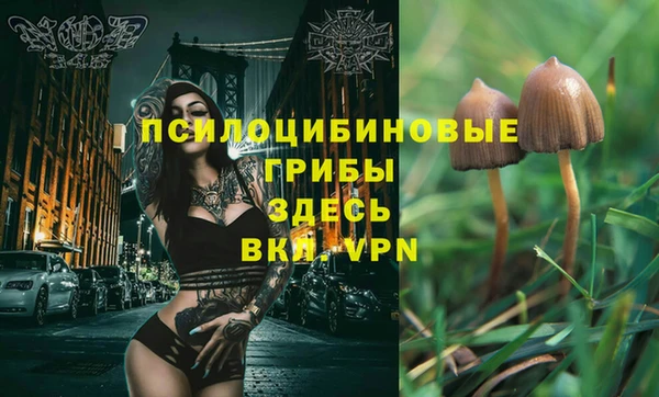 круглые Рославль