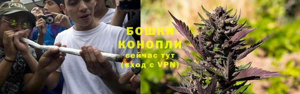 трава Алзамай